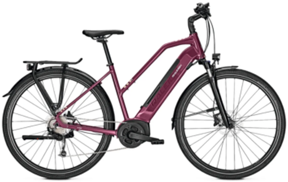 Raleigh Kent 9
